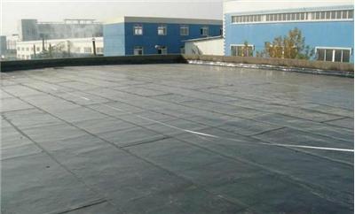 海虞镇楼顶防水