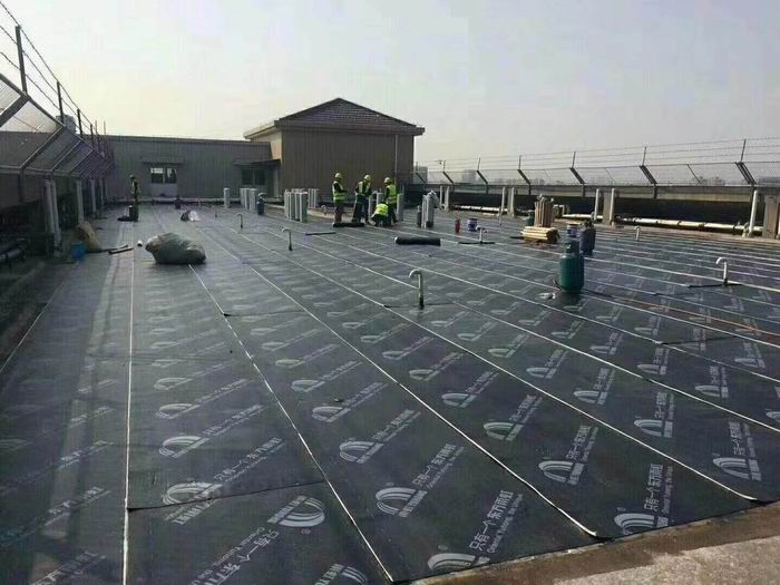 海虞镇楼面防水